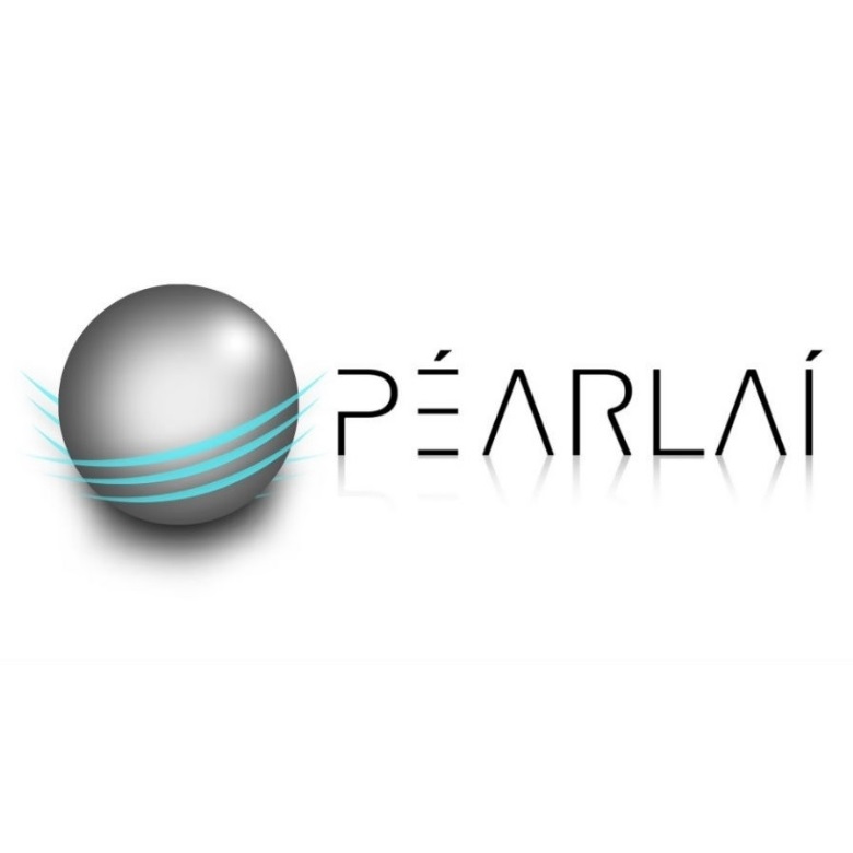 Tall Paul Marketing - Freelance Content Writer Copywriter NI - Péarlaí Ltd